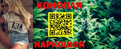 крисы Анжеро-Судженск