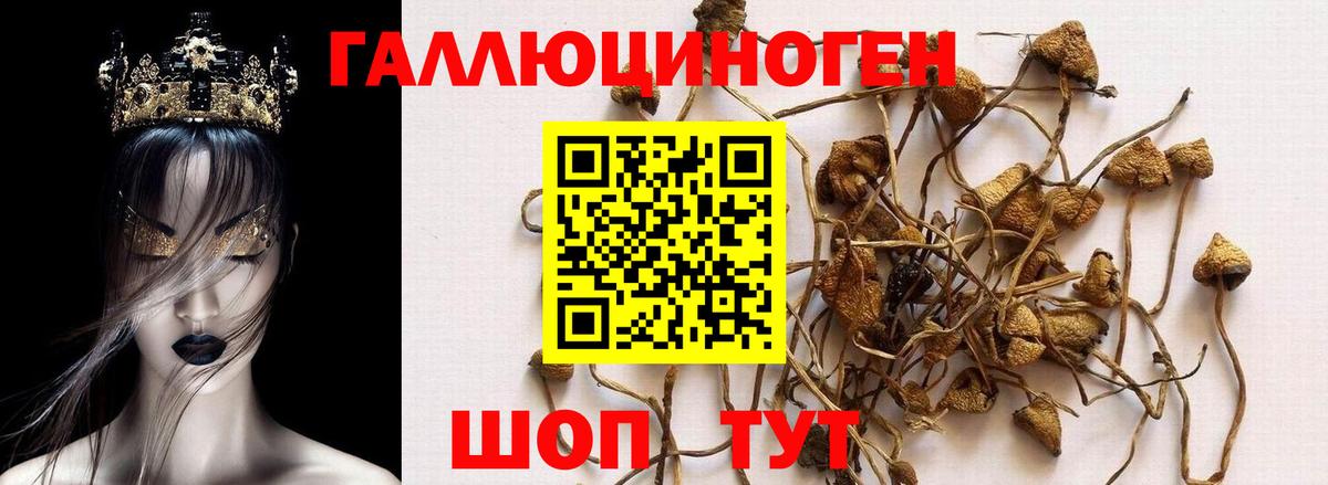Псилоцибиновые грибы GOLDEN TEACHER  Псилоцибиновые грибы мухоморы  Вход с VPN  Анжеро-Судженск 