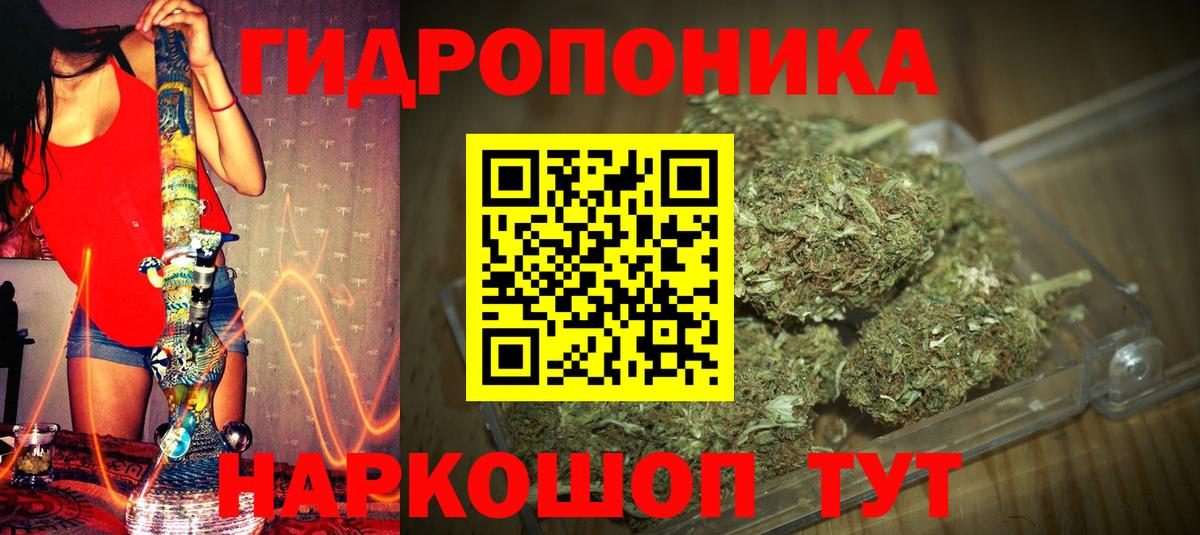 Анжеро-Судженск  Бошки Шишки Amnesia  Бошки Шишки индика  Вход с VPN 
