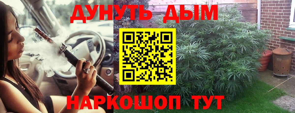 Канабис конопля Анжеро-Судженск